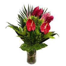 Tropical Bouquet with glass vase (1) Ginger Pink, (3) Ginger Red, (2) Anthurios, (2) Hel. Sassy, (2) Eucaliptos doll, (3) Lettuce Fern, (2) Palma Flecha, (2) Diafembancha, (2) Croto Pecoso, (1) Tip Bronce, (6) Codelines.